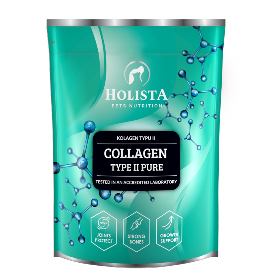 copy of Collagen Type II PURE 200g