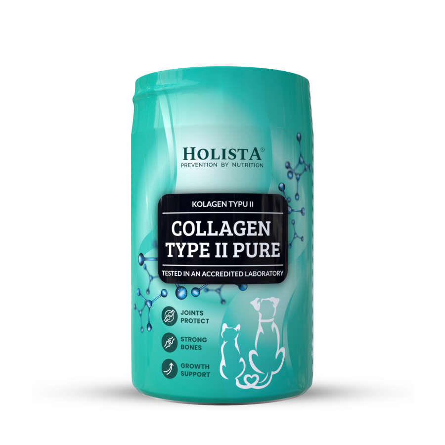 Collagen Type II PURE 200g