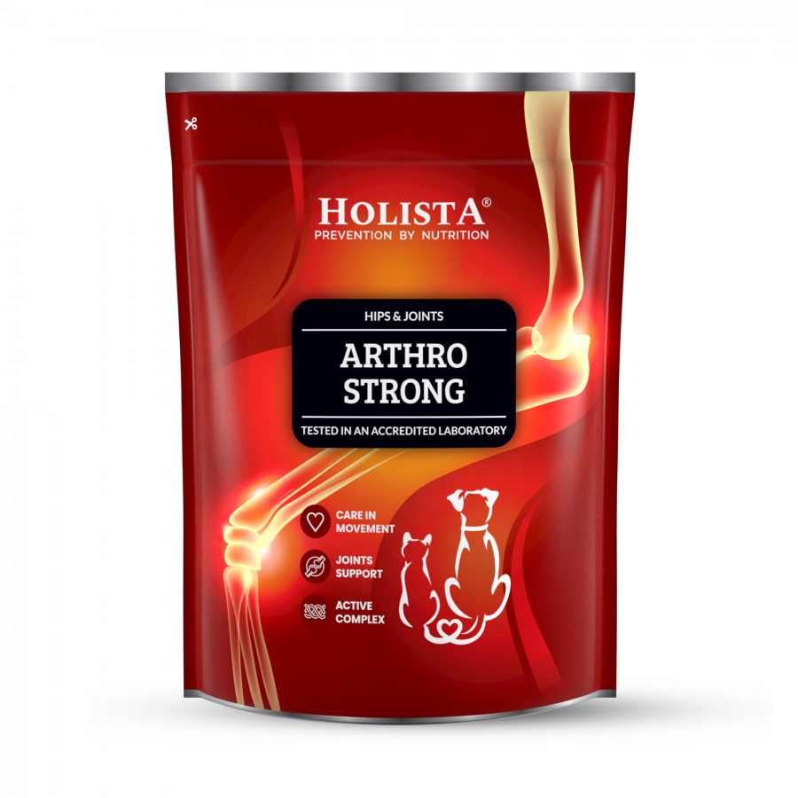 Arthro Strong suplement na stawy dla psów 600g