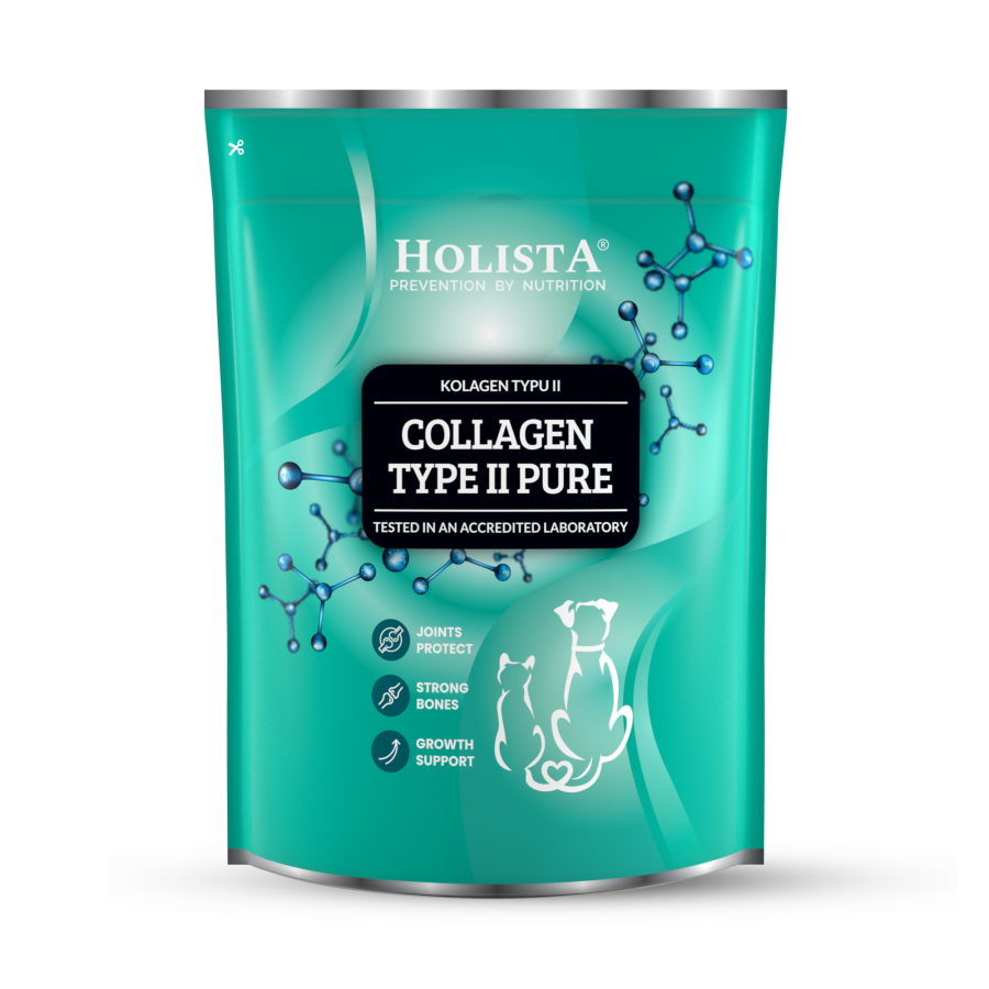 copy of Collagen Type II PURE 200g