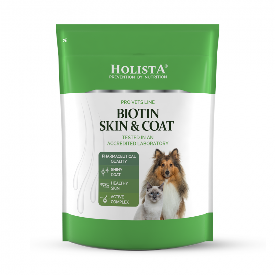 Biotin Skin & Coat 600g