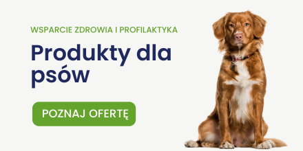 Suplementy dla psów