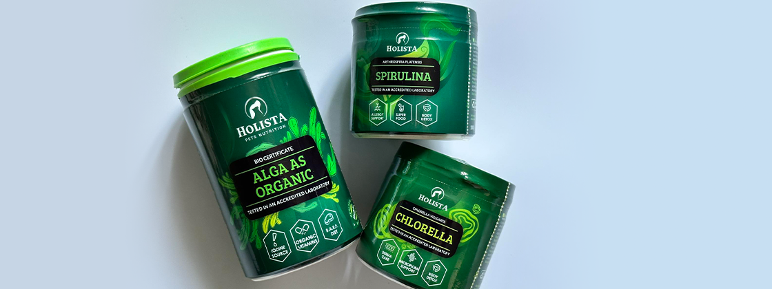 Czym rożnią się: algi morskie, spirulina i chlorella? 