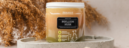 Psyllium husk i jego niezwykłe właściwości